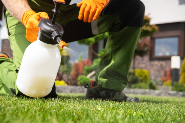 Best Pest Prevention Services  in Sublimity, OR