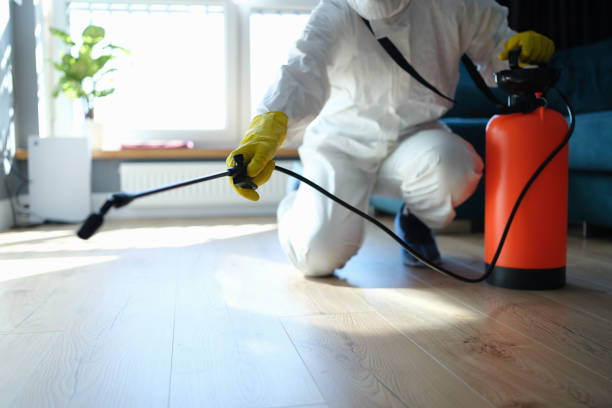Best Local Pest Control Services  in Sublimity, OR