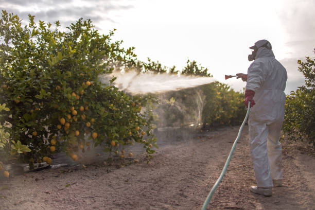 Best Affordable Pest Control Services  in Sublimity, OR
