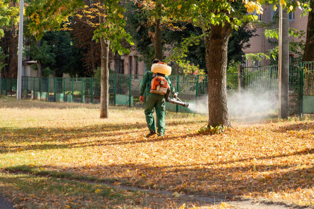 Insect Control in Sublimity, OR