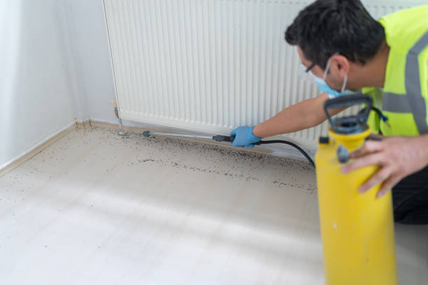Best Exterminator Services  in Sublimity, OR