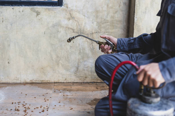 Best Mosquito Control Services  in Sublimity, OR
