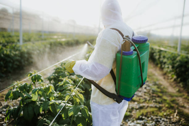 Best Residential Pest Control  in Sublimity, OR